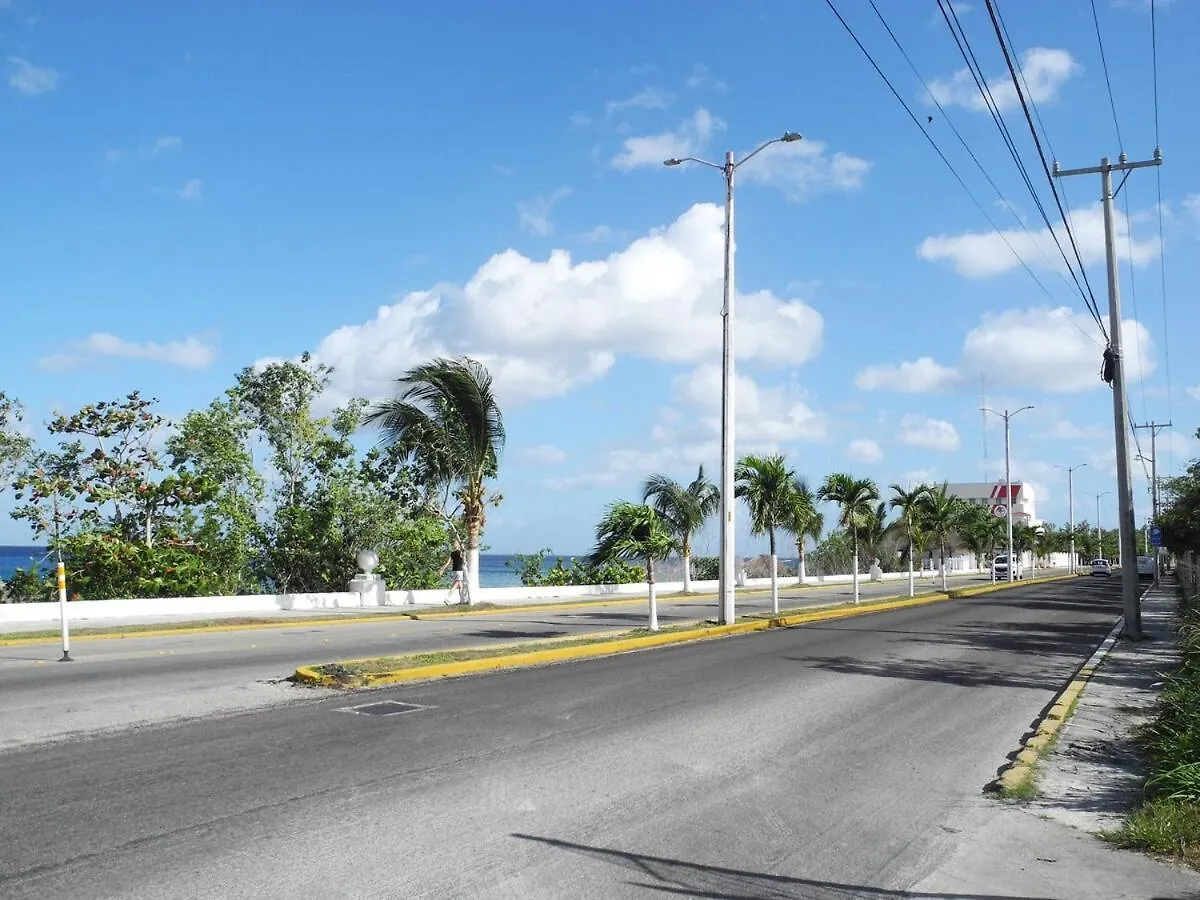 Apartment El Palmar Luxury Xl Oceanview Condo Cozumel Mexico